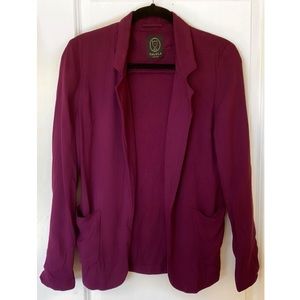 Aritzia Talula Kent Blazer